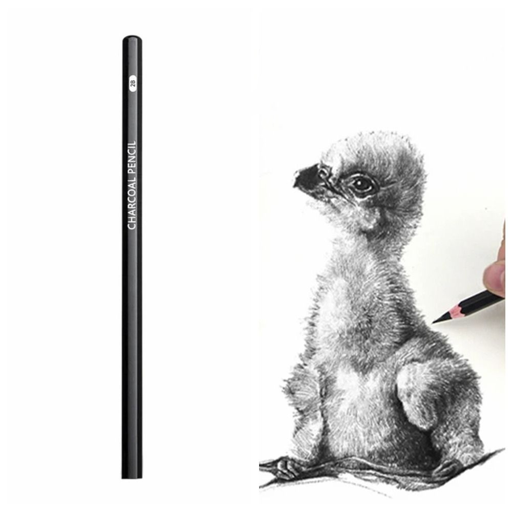 Pensil Sketsa Campuran Grafit  - Sketching Charcoal Set ulasan dan harga