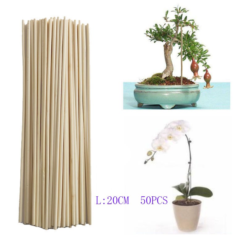 50 Buah Batang Dowel Bambu 20C - Art Craft Stick ulasan dan harga