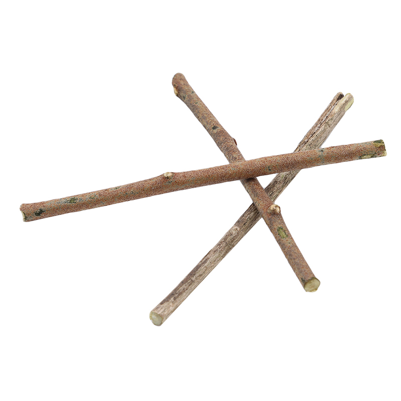 20 buah tongkat kayu Dedalu ca - Art Craft Stick ulasan dan harga