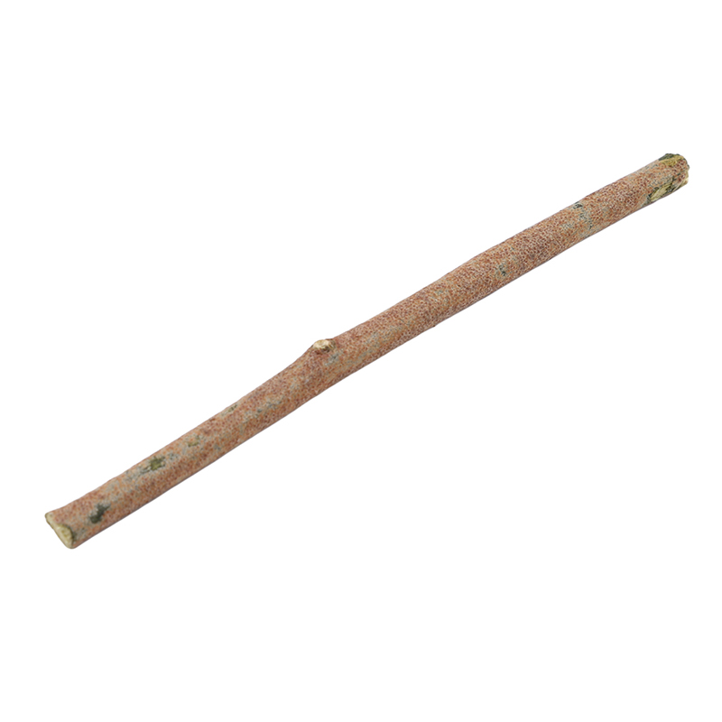 20 buah tongkat kayu Dedalu ca - Art Craft Stick ulasan dan harga