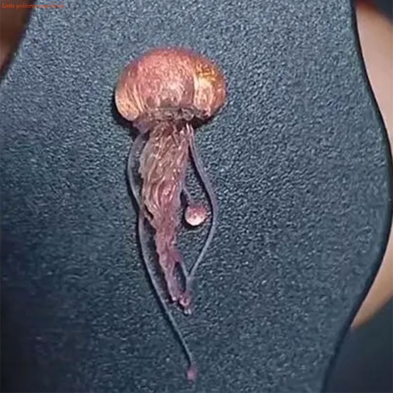 F92D Cetakan Seni Kuku Ubur-ub - Art Craft Jellyfish ulasan dan harga