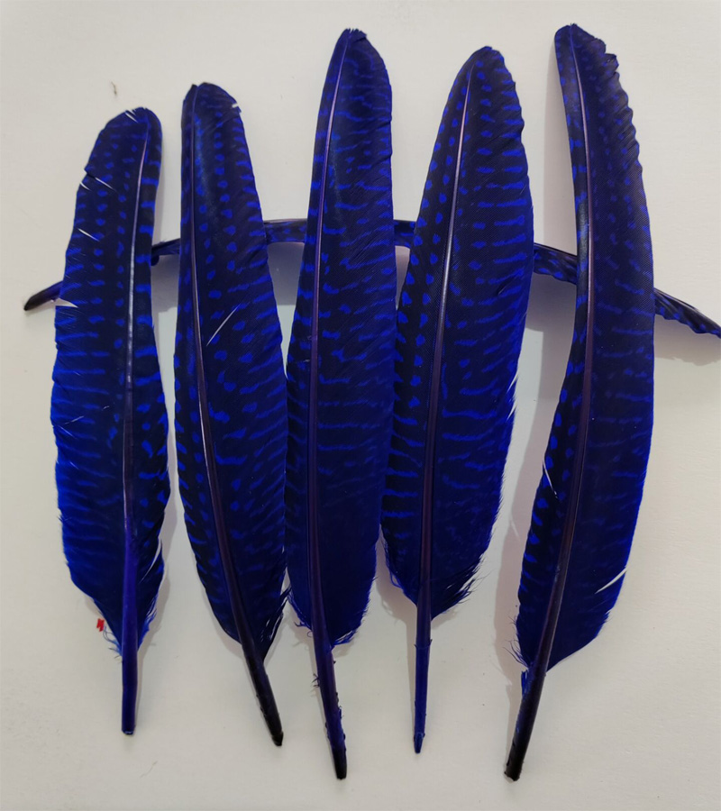 Bulu! 100Pcs/Lot! 14-20cm Bulu - Art Quilling Craft ulasan dan harga