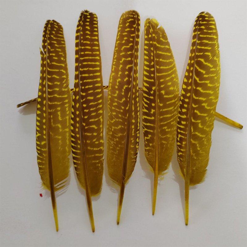 Bulu! 100Pcs/Lot! 14-20cm Bulu - Art Quilling Craft ulasan dan harga